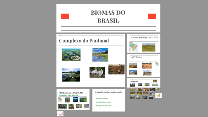 BIOMAS DO BRASIL by Eder Tomate on Prezi