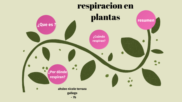 biología paso adelante by AHSLEE Terraza Gallego