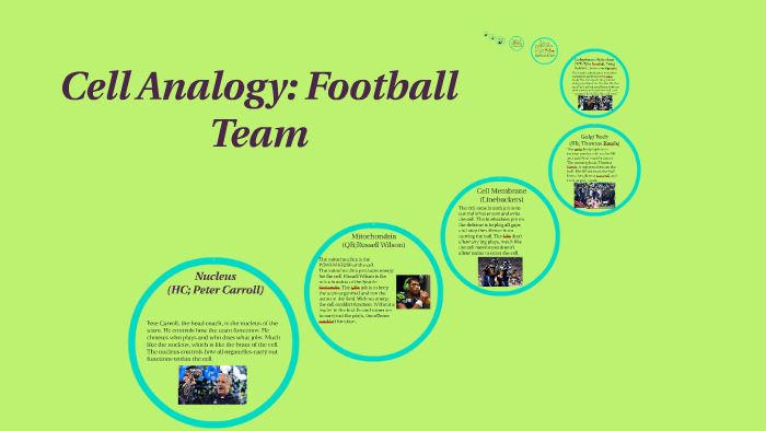 Cell Analogy: Football Team by Egidio Cantarella on Prezi