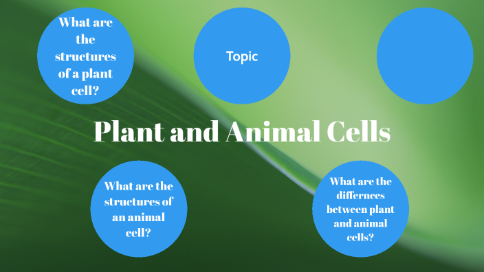 PLANT AND ANIMAL CELLS by Ambria Helms on Prezi
