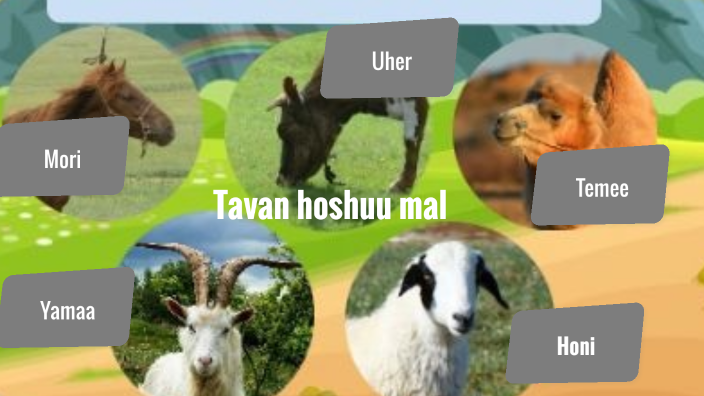 5 hoshuu Mal by Sod-Erdene Baasan on Prezi