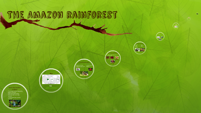 The Amazon rainforest by lizie quintano on Prezi