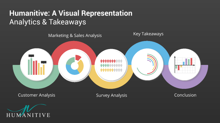 the importance of visual representation in human sciences