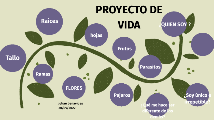 Mi Proyecto De Vida by johan sebastian ordoñez benavides on Prezi