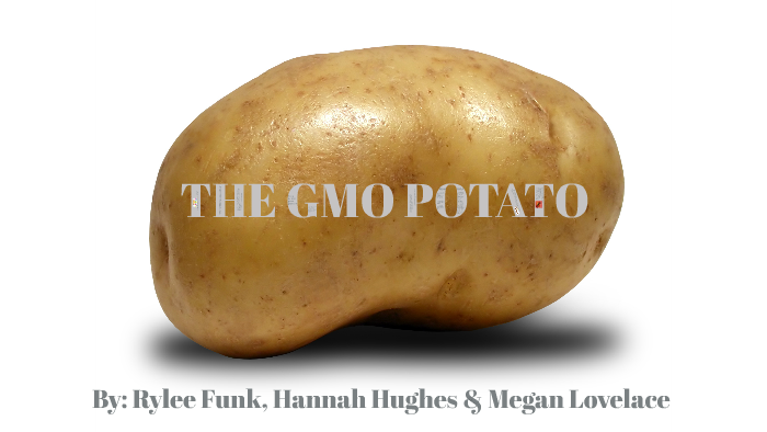 GMO Potato by Rylee Funk on Prezi