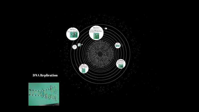 DNA Replication by Z E on Prezi