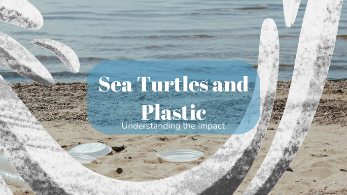 Sea Turtles and Plastic by Rachel Meier on Prezi