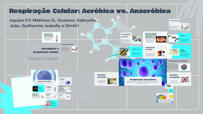 Respiração Celular: Aeróbica vs. Anaeróbica by Matheus Guimaraes de ...