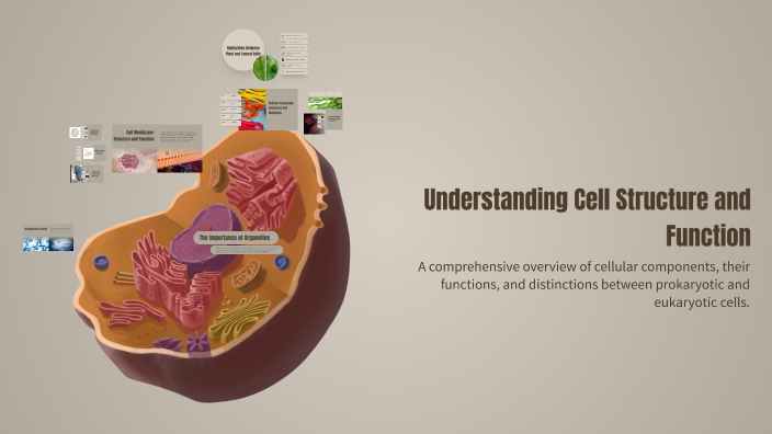 Understanding Cell Structure and Function by Helena Rocha on Prezi