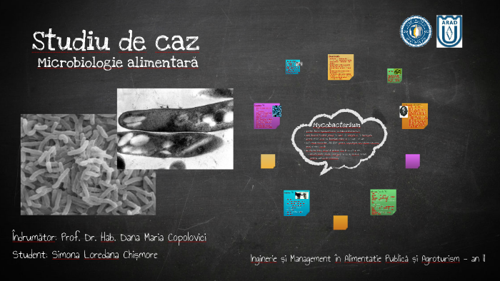 Mycobacterium By Simona Chismore On Prezi