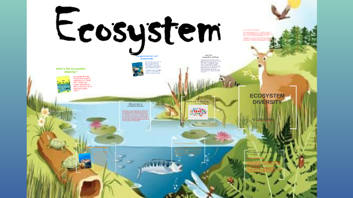 Case Studies: Success Stories in Ecosystem Preservation