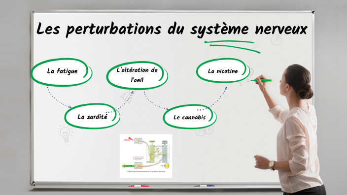 Les perturbations du système nerveux. by pauline TUAILLON on Prezi