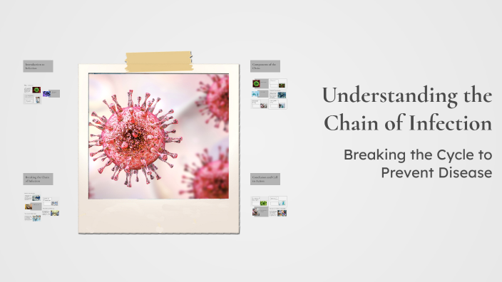 Understanding the Chain of Infection by عبدالله الفتيخه on Prezi