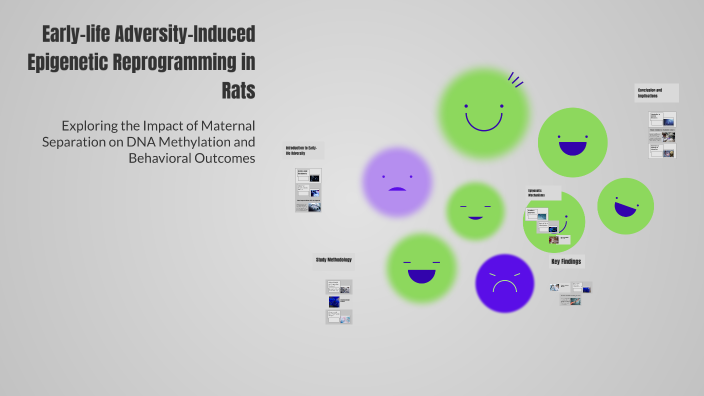 Early-life Adversity-Induced Epigenetic Reprogramming in Rats by Yağmur ...