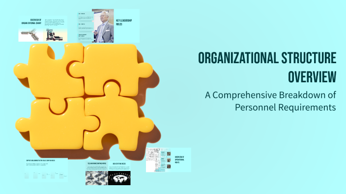 Organizational Structure Overview by Asim Ali on Prezi