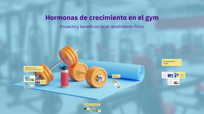 Ciclos De Hormonas Para El Gym