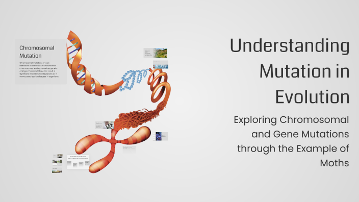 Understanding Mutation in Evolution by Ayeesha Musa on Prezi