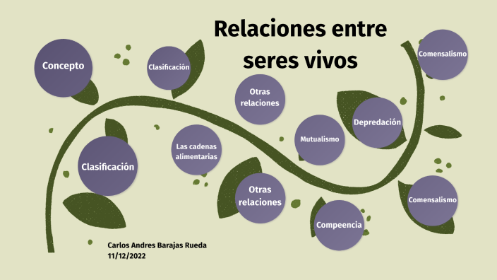 Ejercicio 1. Aplicación de conceptos en Seres vivos: Estructura ...