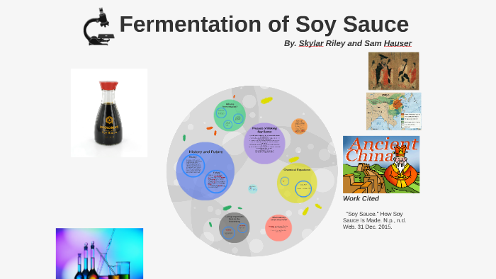 Fermentation of Soy Sauce by Skylar Riley