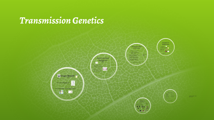 transmission-genetics-by-teri-mitton