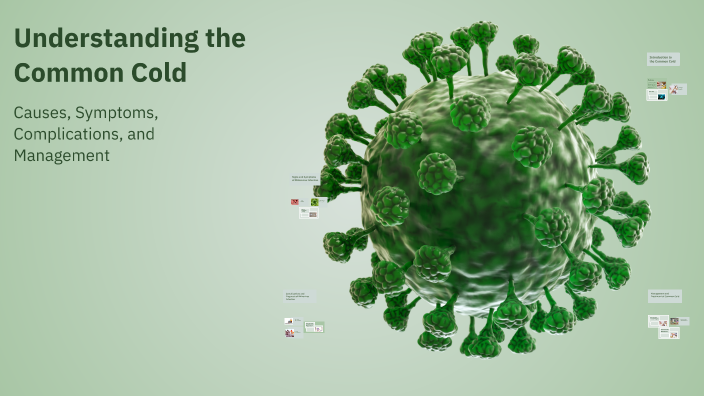 Understanding the Common Cold by Abdullah Khan on Prezi