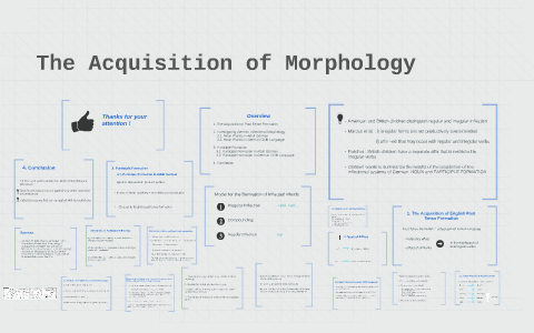 The Acquisition Of MOrphology By Prasanna B