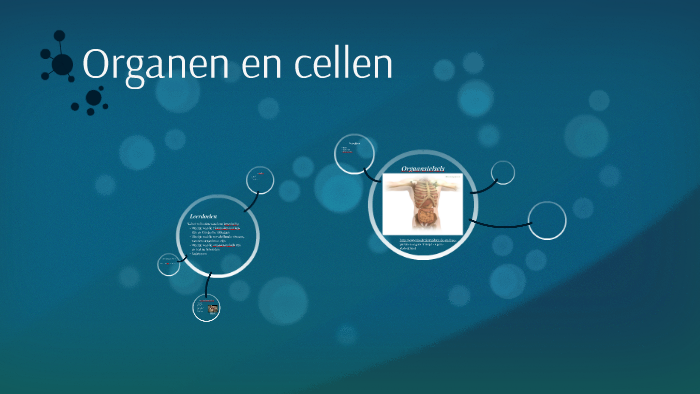 Organen en cellen by Chaima Aghattass on Prezi