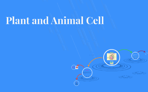 Plant and Animal Cell by tyra hightower on Prezi