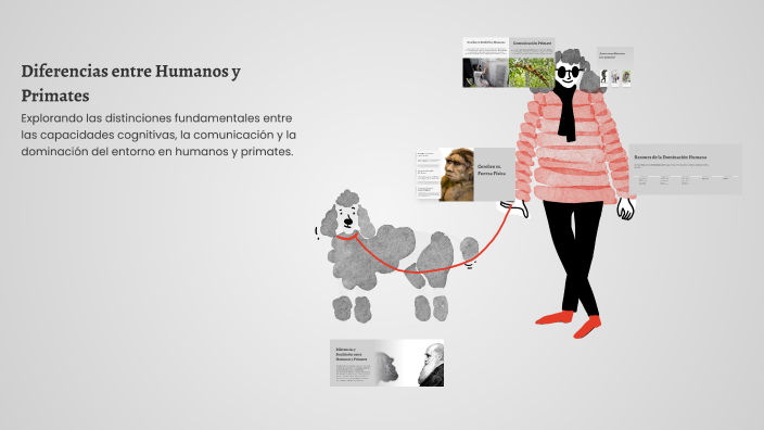 Primates Humanos Diferencias entre Humanos y Primates by Emily Molina on Prezi