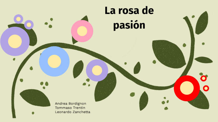 La rosa de pasión by Leonardo Zanchetta