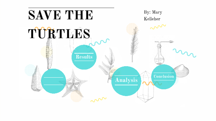 sea turtles by Mary Kelleher on Prezi