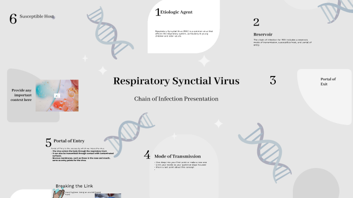RSV and the Chain of Infection by Lindsey Armer-Farr on Prezi