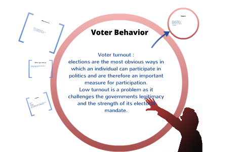 Voter Behavior by Nicholas Hall