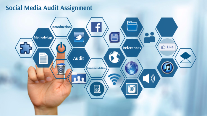 social media audit assignment