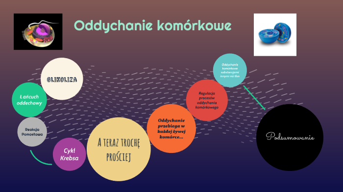 Co To Oddychanie Komórkowe Oddychanie Komórkowe by Marzena Biesok on Prezi