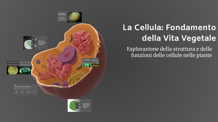 La Cellula: Fondamento della Vita Vegetale by Mara Montagnini on Prezi