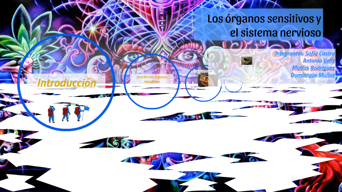 Los Organos Sensitivos Y El Sistema Nervioso By Dominga Sarmiento Muñoz On Prezi 7684