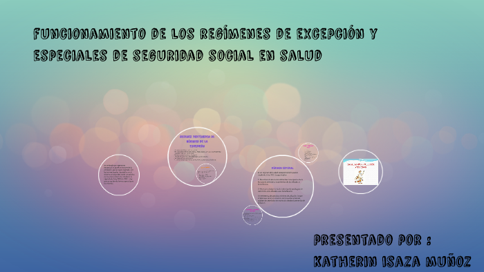 funcionamiento de los regímenes de excepción y especiales de by Karen ...