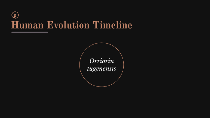 Human Evolution Timeline by D S on Prezi