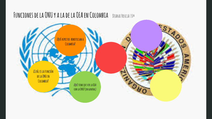 Funciones De La Onu Y La Oea