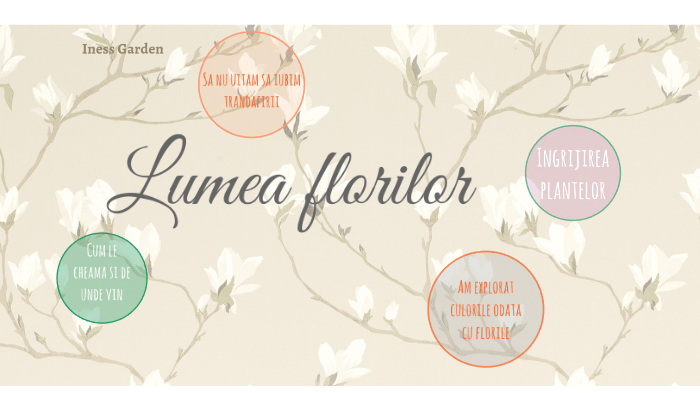 Introducere In Lumea Florilor By Salomeea Panait On Prezi Next