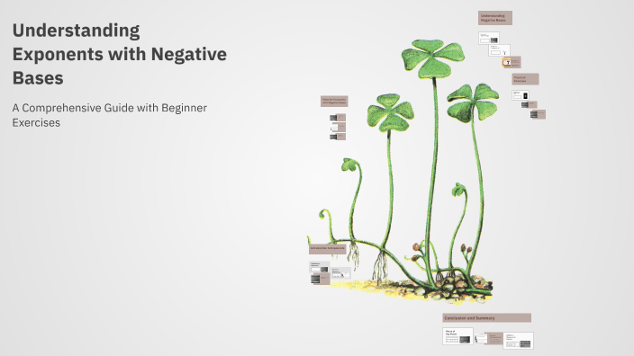 Understanding Exponents with Negative Bases by amany ali on Prezi
