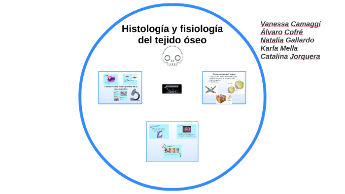 Histología Y Fisiología Del Tejido óseo By Catalina Jorquera Moya