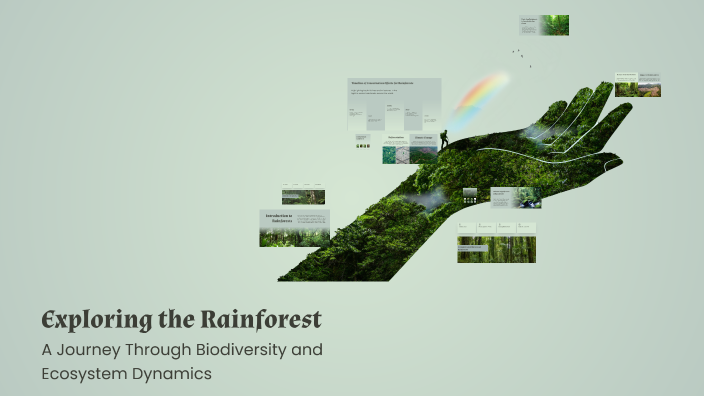 Exploring the Rainforest by Louis Evans on Prezi