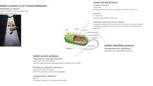 ABx Chart by Clara Stuart on Prezi Design