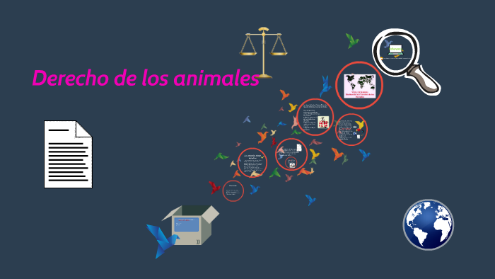 Derecho de los animales by Nancy Belen Alvarado Corrales on Prezi