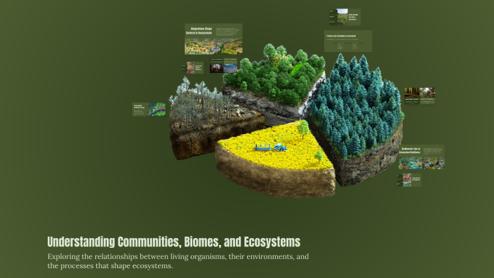 Understanding Communities, Biomes, and Ecosystems by Josh Gallimore on ...