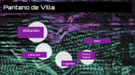 VISITA DE ESTUDIOS - LEYVA