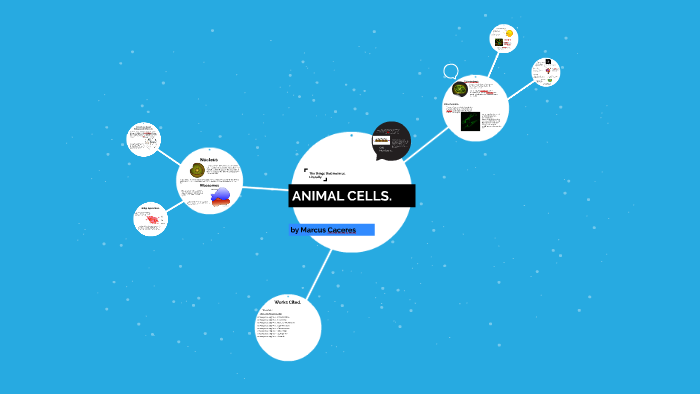 ANIMAL CELLS. by Marcus Alexander on Prezi