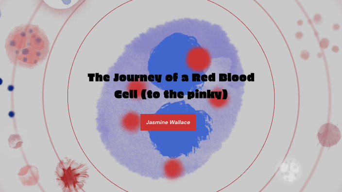 Red Blood Cell Journey by Jasmine Wallace on Prezi